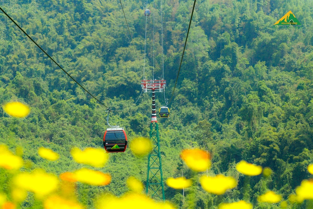 Cabin cáp treo Cổng Trời Đông Giang giữa núi rừng